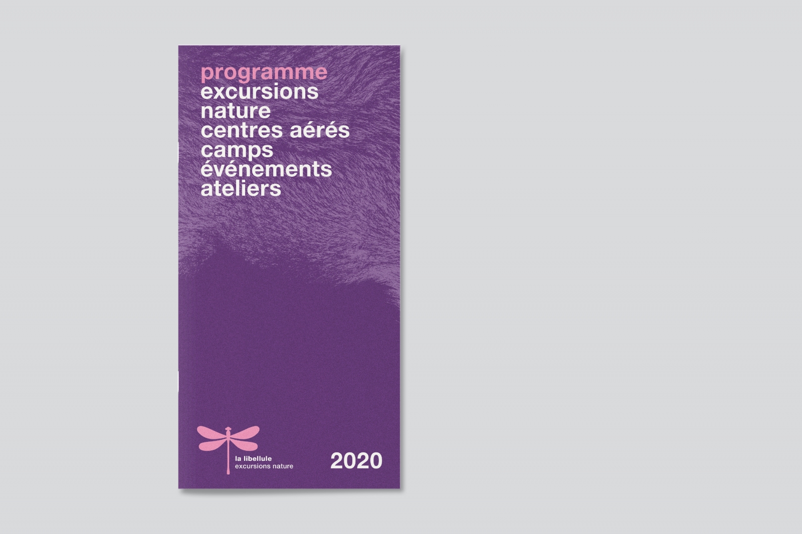 Association La Libellule - Programme