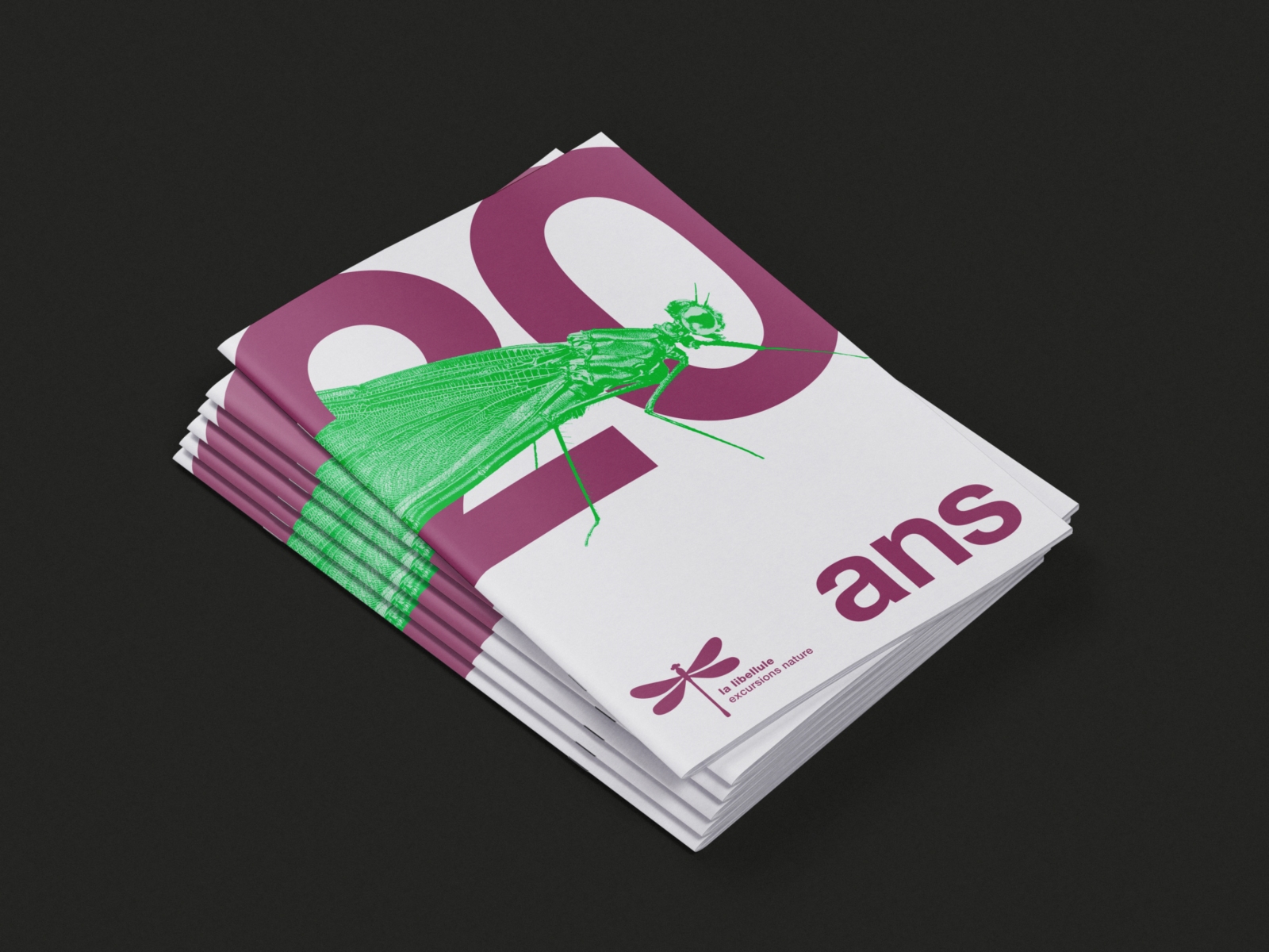 Association La Libellule - Brochure 20 ans