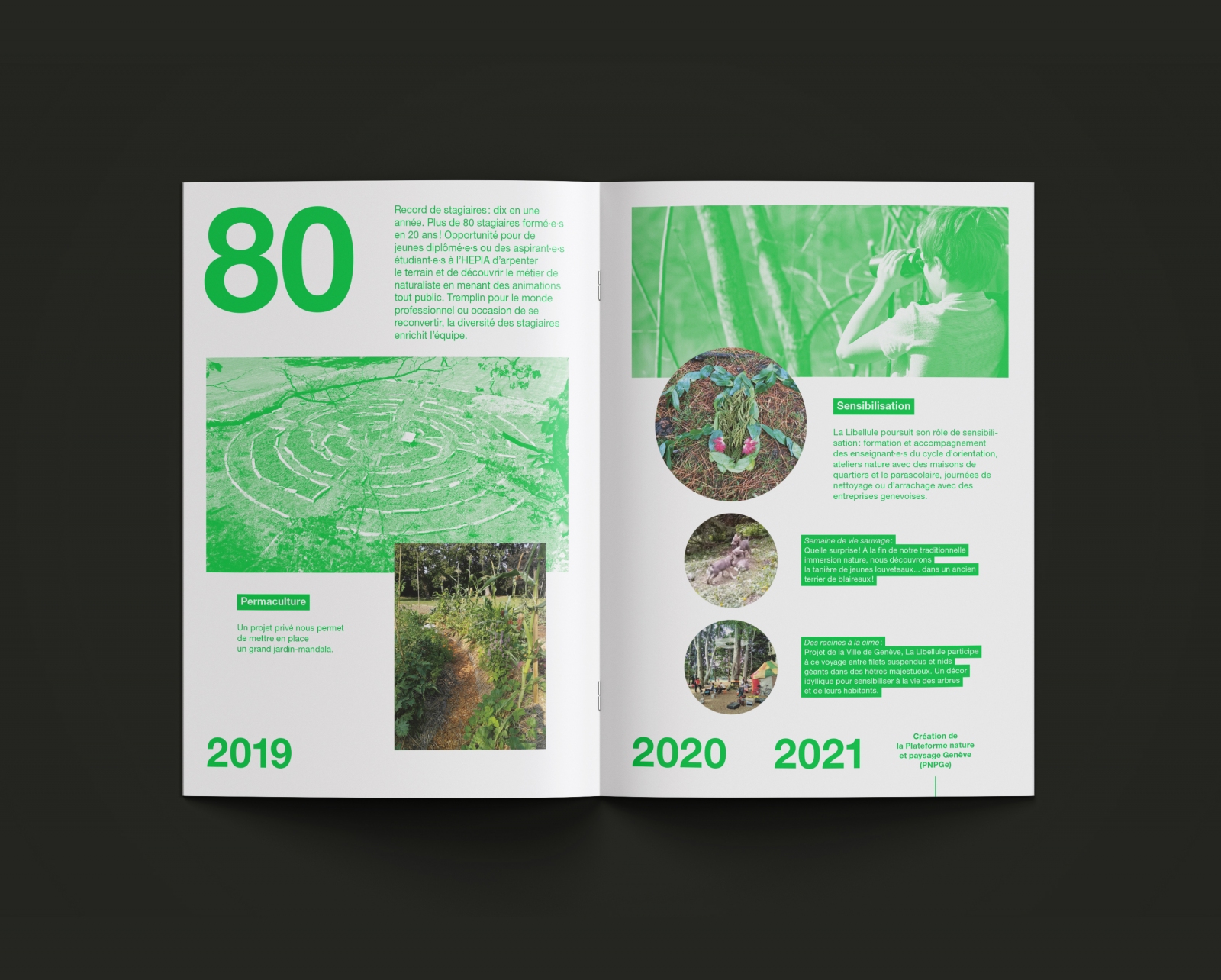 Association La Libellule - Brochure 20 ans